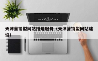 泸州天津营销型网站搭建服务（天津营销型网站建设）