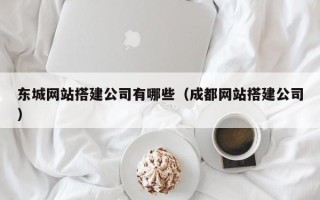 泸州东城网站搭建公司有哪些（成都网站搭建公司）